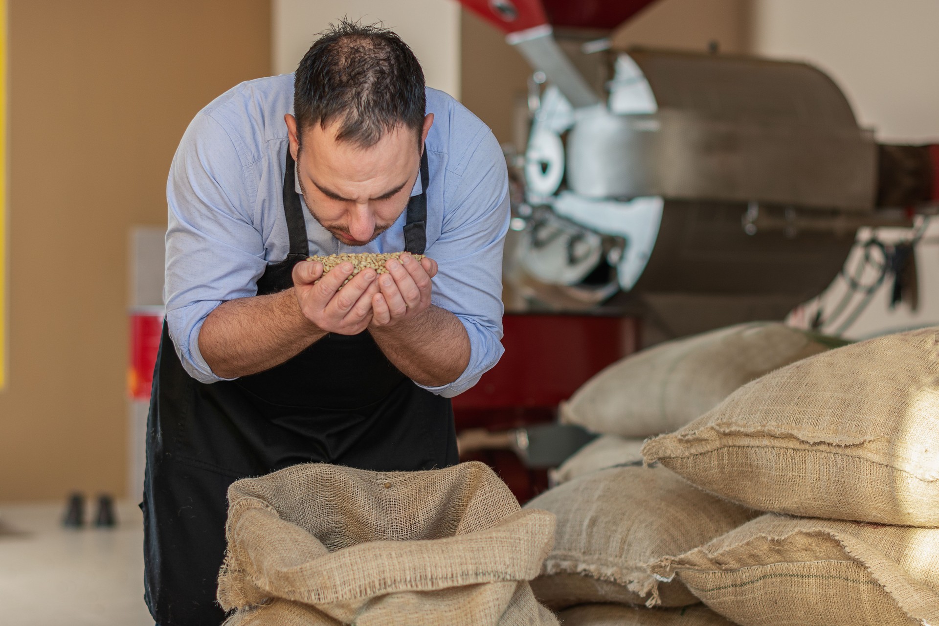 Worker in a coffee roaster shop checking the quality of raw coffee